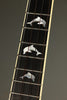 2018 Graziano Turtle and Dolphin Tenor Ukulele Used