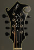 2017 Northfield Big Mon Wide Nut. Mandolin - Used