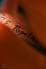 1974 R. E. Popelka Teardrop Appalachian Dulcimer - Used