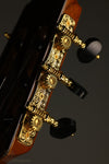 2012 Cervantes Crossover 1 Signature Milenia Classical Guitar - Used