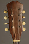 1916 Vega Model 202 Cylinder Back Mandolin - Used