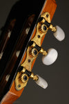 2009 Esteve Model 8 Cedar Top Classical Guitar - Used