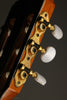 2009 Esteve Model 8 Cedar Top Classical Guitar - Used