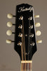 2014 Kentucky KM-150 Mandolin - Used