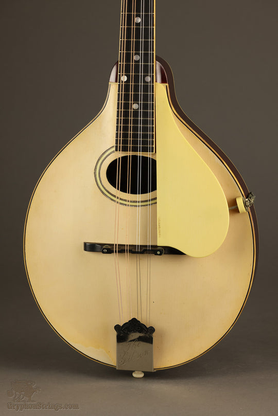 1922 Gibson A-3 White Top Mandolin - Used