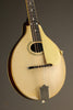 1922 Gibson A-3 White Top Mandolin - Used