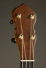 Waldman 14" Cello 5-string Banjo - New