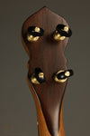 Waldman 14" Cello 5-string Banjo - New