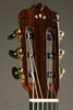 2023 Cordoba C10 Parlor Nylon String Guitar & Case