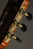 2023 Cordoba C10 Parlor Nylon String Guitar & Case