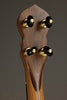 Waldman Chromatic 5-String Open Back Banjo - New