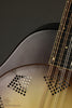1929 National Triolian Mandolin - Used