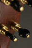 Waldman Cello 5-string Banjo - New