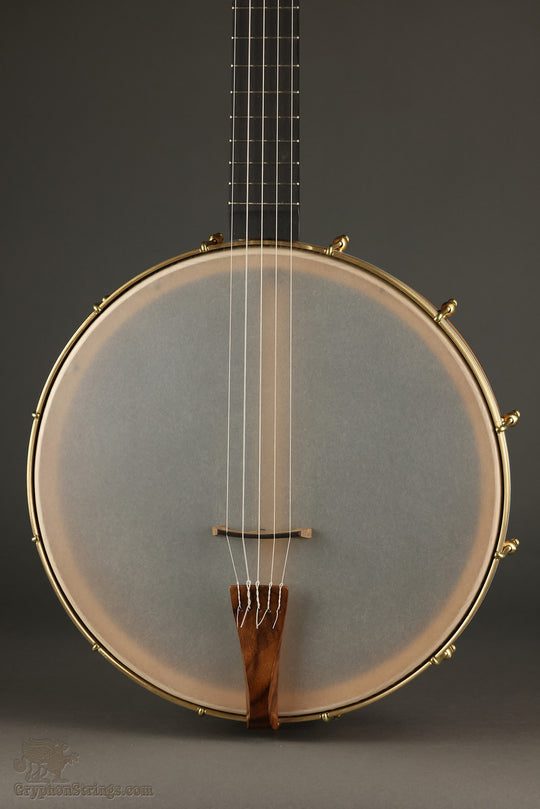 Waldman Cello 5-string Banjo - New