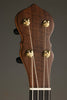 Waldman Cello 5-string Banjo - New