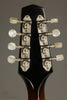 1985 Givens A3 Mandolin - Used