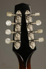 1985 Givens A3 Mandolin - Used
