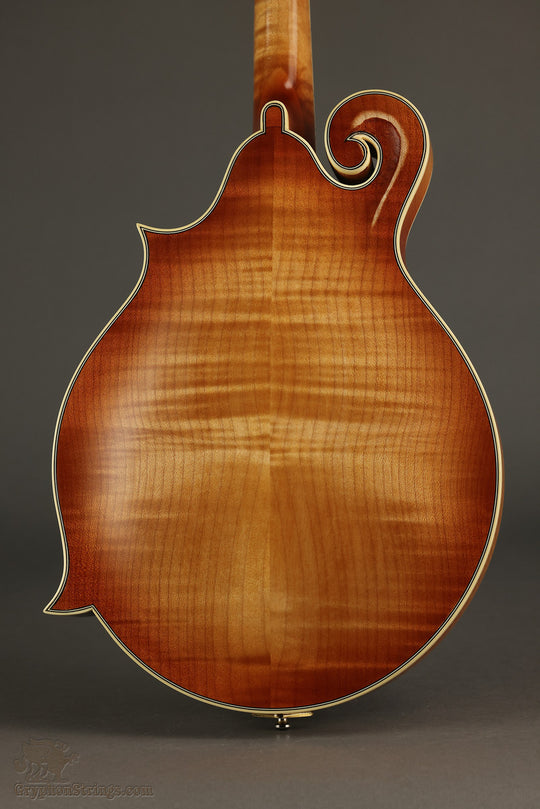 2014 Michael Kelly Legacy Dragonfly Mandolin- Used