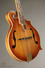 2014 Michael Kelly Legacy Dragonfly Mandolin- Used