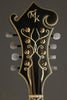 2014 Michael Kelly Legacy Dragonfly Mandolin- Used