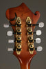 2014 Michael Kelly Legacy Dragonfly Mandolin- Used