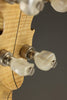 1982 Wildwood Paragon II Maple Five-String  Banjo - Used