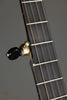 Waldman Chromatic Step 5-String Open Back Banjo - New