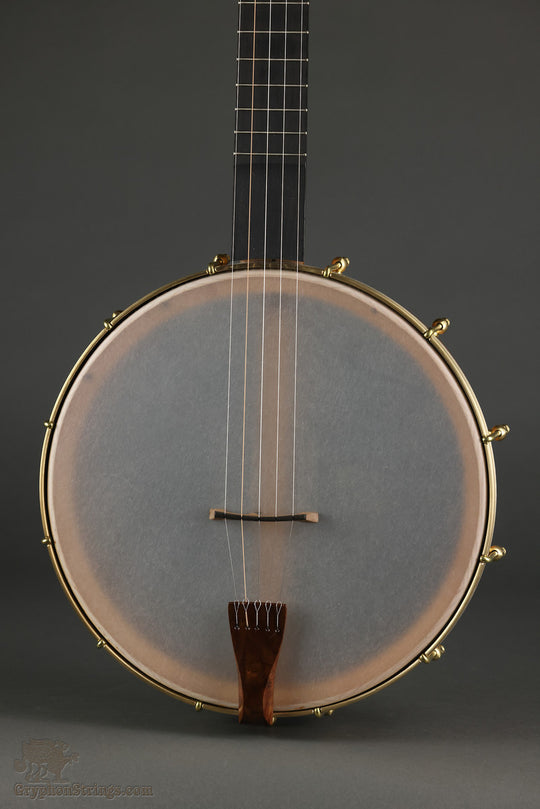 Waldman Chromatic Step 5-String Open Back Banjo - New