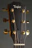 2022 Taylor 224ce-K DLX Acoustic Electric Guitar - Used