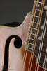 Circa 1914 Albert Shutt Mandolin - Used