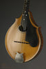 Circa 1922 Lyon & Healy Style A Mandolin - Used