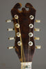 Circa 1900 C. De Julio Bowl-Back Mandolin - Used
