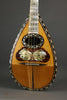 Circa 1900 C. De Julio Bowl-Back Mandolin - Used