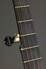 Waldman Chromatic Cherry 5-String Banjo - New