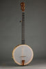 Waldman Chromatic Cherry 5-String Banjo - New