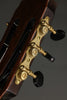 Lambdin-Morello Parlor Crossover Nylon String Guitar - New