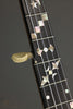 1889 S.S. Stewart Universal Favorite #3 5-String Banjo - Used