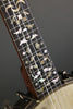 Circa 1894 S.S. Stewart Special Thoroughbred Presentation 5-String Banjo - Used