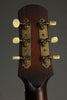2022 Iris DF Custom Acoustic Guitar -Used