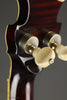 2001 Sullivan Greenbriar 5-String Banjo - Used