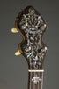 Circa 1915 Orpheum No. 2 5-string Banjo Used
