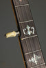 Circa 1915 Orpheum No. 2 5-string Banjo Used