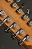 2026 Taylor 254CE Plus Lefty Acoustic Electric 12-String Guitar - Used