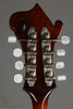 2011 Flatiron Festival F Mandolin (Import)  - Used