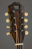 1918 Vega Fairbanks Whyte Laydie Style L Mandolin Banjo - Used