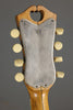 1918 Vega Fairbanks Whyte Laydie Style L Mandolin Banjo - Used