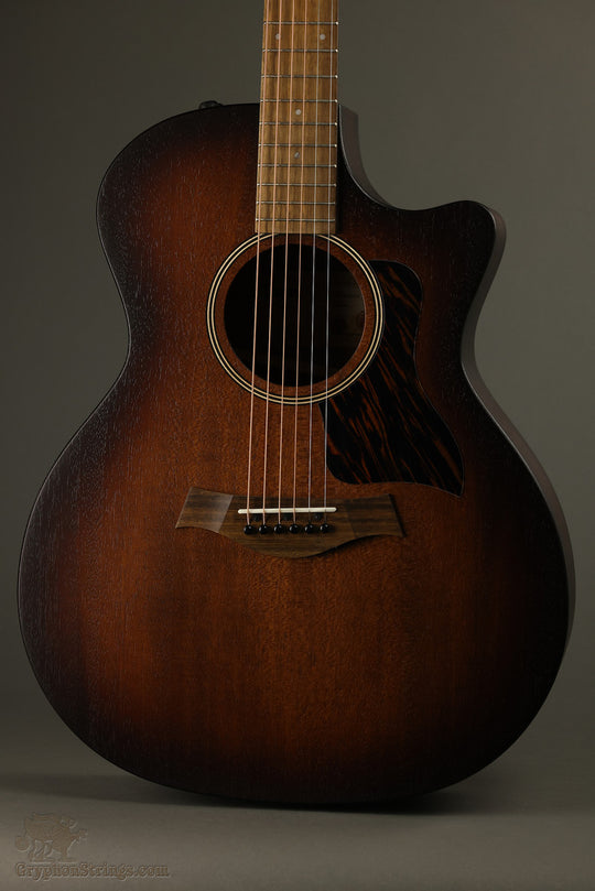 Taylor AD24ce Acoustic Electric Guitar - New