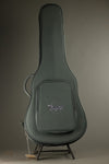 Taylor AD24ce Acoustic Electric Guitar - New