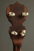 Deering Sierra Maple 5-String Banjo New