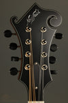 Northfield S Series NFS-F5 Mandolin - New